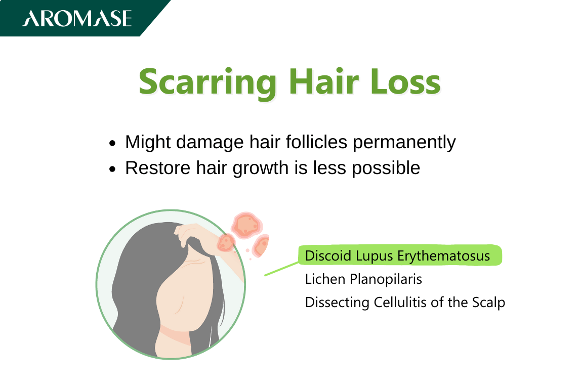 AROMASE scalp care_Can Hair Regrow After Hair Loss Possible or Not_ Here's Why (2)