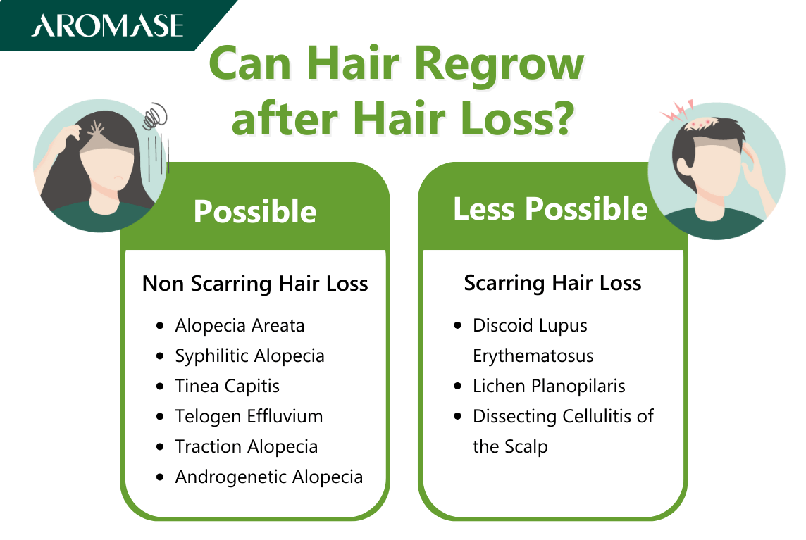 AROMASE scalp care_Can Hair Regrow After Hair Loss Possible or Not_ Here's Why (3)