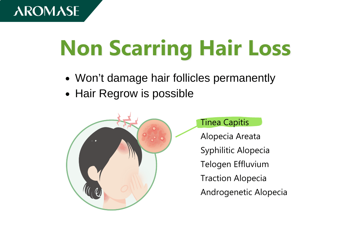 AROMASE scalp care_Can Hair Regrow After Hair Loss Possible or Not_ Here's Why (4)